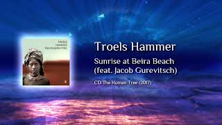 Troels Hammer  Sunrise at Beira Beach [upl. by Adaiha246]