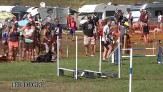 Clash  Avallon 2016 Agility [upl. by Ikoek]