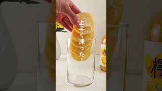 自宅で作れる🍋タワーレモンサワー🍹 [upl. by Tade]