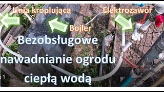 Patent na tanie bezobsługowe nawadnianie roślin ciepłą wodą ze słońca [upl. by Leary]