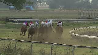 Gulgong 09 06 2024 Race 6 [upl. by Matusow]