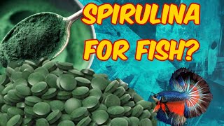 SPIRULINA  Health Benefits for Fish [upl. by Kila]