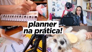 UM DIA COMIGO SEGUINDO O PLANNER  Ju Cirqueira [upl. by Terej]