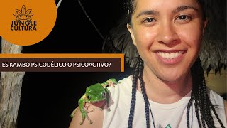 ES KAMBO PSICODELICO O PSICOACTIVO [upl. by Eilegna343]