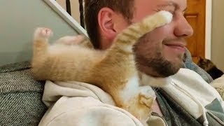 ♥Cute Cats and Dogs Doing Funny Things 2018♥  1  Funny Dog and Cat Videos [upl. by Nomrac]