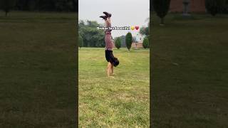 Handstand practice fitnessmodel megha youtubeshorts fitnessjourney sports handstandbalance [upl. by Margarete]