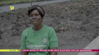 Group Moves To Restore Niger Delta Ecosystem With 5M Mangroves [upl. by Rehpotsrik810]