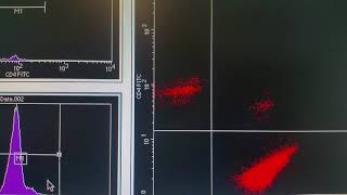 Basics of Flow Cytometry [upl. by Adama309]