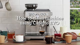 How Clean Machine Using Cafetto EVO  Breville Barista Express  Breville PH [upl. by Forrer]