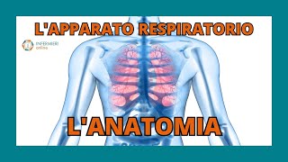 LAPPARATO RESPIRATORIO  LANATOMIA  INFERMIERI Online [upl. by Lenahs]