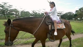 Donna The Explorer PreBirthday Teaser Video [upl. by Vicki729]