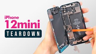 iPhone 12 Mini Teardown [upl. by Vatsug]