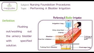 73 Performing A Bladder Irrigation [upl. by Ajaj]