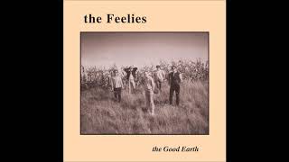 The Feelies  Two Rooms [upl. by Guthry]