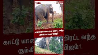 காட்டு யானைகளை விரட்ட வந்த கும்கி யானை விஜய் shorts  Nilgiri Wild Elephant  Kumki [upl. by Abehshtab866]