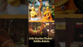 Srila Haridas Thakur  Siddha Bakula  Jagannath Puri iskcon [upl. by Nonnag]