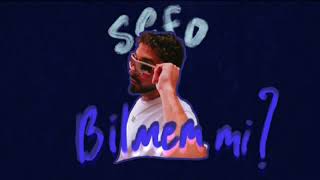 Bilmem mi Sefo  Lyrics  English translation [upl. by Epilif]