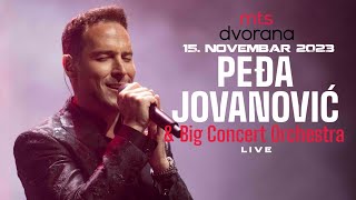 PEDJA JOVANOVIC amp BIG CONCERT ORCHESTRA  LIVE CEO KONCERT  151123 MTS DVORANA [upl. by Knowling]