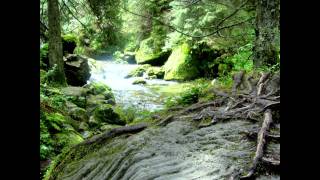 TATRY Z NASZYCH SNÓW muzykaMichał Lorenc quotBANDYTAquotTunel ElenyTaniec Eleny [upl. by Letnwahs]