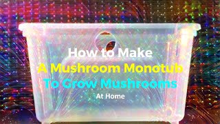 How to Make a Mushroom Monotub To Grow Mushrooms [upl. by Nolly829]