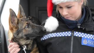 West Yorkshire Police Advent Calendar  Tuesday 16th December [upl. by Kimberlyn485]