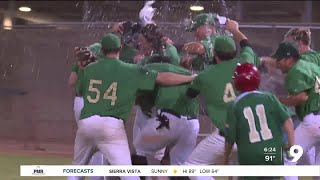 Tucson Saguaros win Pecos League Title [upl. by Hamburger]