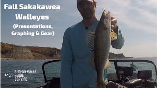 Fall Sakakawea Walleyes  Presentations Graphing amp Gear [upl. by Meaghan425]