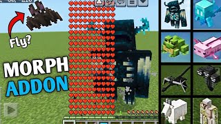 Minecraft Morph Addon For Pocket amp Bedrock Edition 120  minecraft mcpe [upl. by Inalej]