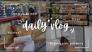 VLOG  Compras do mês dicas saudáveis  organizando geladeira [upl. by Yerak]