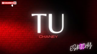 Salsa Romántica Con Letra  TÚ  Chaney 🤎 [upl. by Evets]