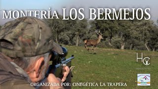 MONTERIA quotLOS BERMEJOSquot  ORGANIZADA POR CINEGÉTICA LA TRAPERA [upl. by Marmion]