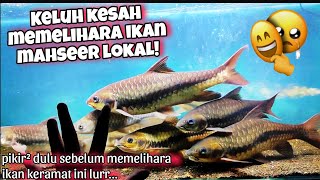 Keluh kesah memelihara ikan mahseerdewa di dalam tank [upl. by Erin]