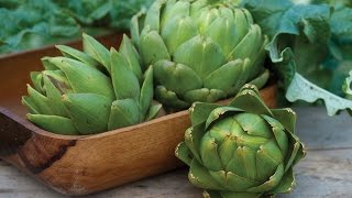 How To Grow Artichokes [upl. by Hannan]