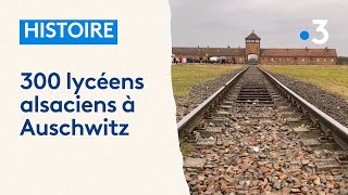 Histoire  300 lycéens alsaciens à Auschwitz [upl. by Mahalia]