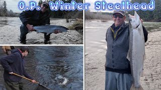 Early Olympic Peninsula Winter Steelhead [upl. by Gunas]