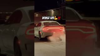 Dodge Life [upl. by Gibert]