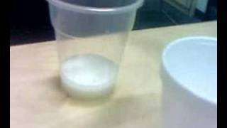 DNA extraction  color change [upl. by Walley971]