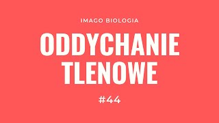 Oddychanie tlenowe [upl. by Busch]