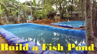 How to build a fish pond  Fish farming in Backyard  Fish tank [upl. by Patrich]