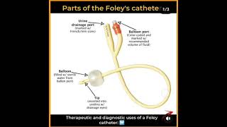 Foley catheter nursing patientcare fundamentalanalysis urine [upl. by Akcimat183]