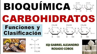 Carbohidratos glúcidos Funciones clasificación y conceptos básicos [upl. by Turnbull396]