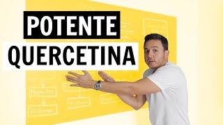 Quercetina Porque es Importante y como nos puede ayudar [upl. by Hamilah]