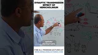 Synaptic Transmission Effect of Hemicholinium drnajeeblectures youtubeshorts [upl. by Kaitlin377]