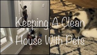 Pet Owners SHOULD Dust And Clean 4x’s More Often [upl. by Bandler]