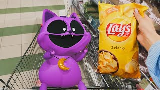 Catnap at the convenience store in real life [upl. by Behlau]