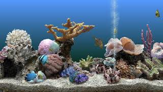 РелаксацияScreensaver Marine Aquarium 32 4k 60 fps [upl. by Snowber985]