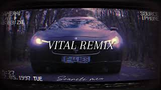 REMIX  Theo Rose  Soarele Meu Bass Flip By Vital™️ remix [upl. by Zanze]