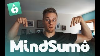 MindSumo  Best Side Income for College Students [upl. by Kissee624]