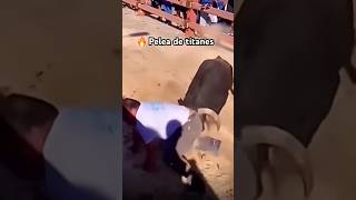 🔥 TREMENDA PALIZA que le da este TORO BRAVO shorts [upl. by Chabot216]