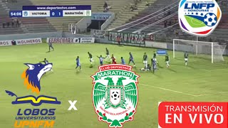 Lobos Upnfm Vs Marathon en vivo liga nacional Honduras clausura 2024 [upl. by Nahbois]